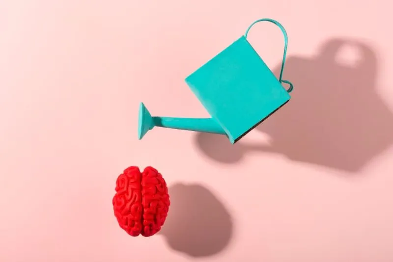 Watering can on top of brain model